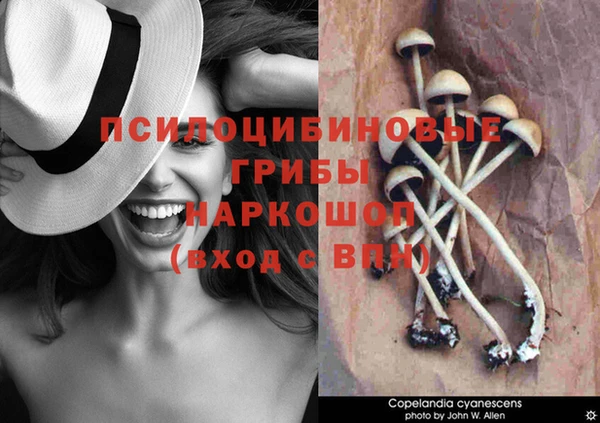 spice Надым