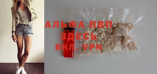 spice Надым
