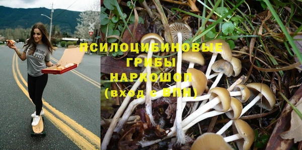 spice Надым