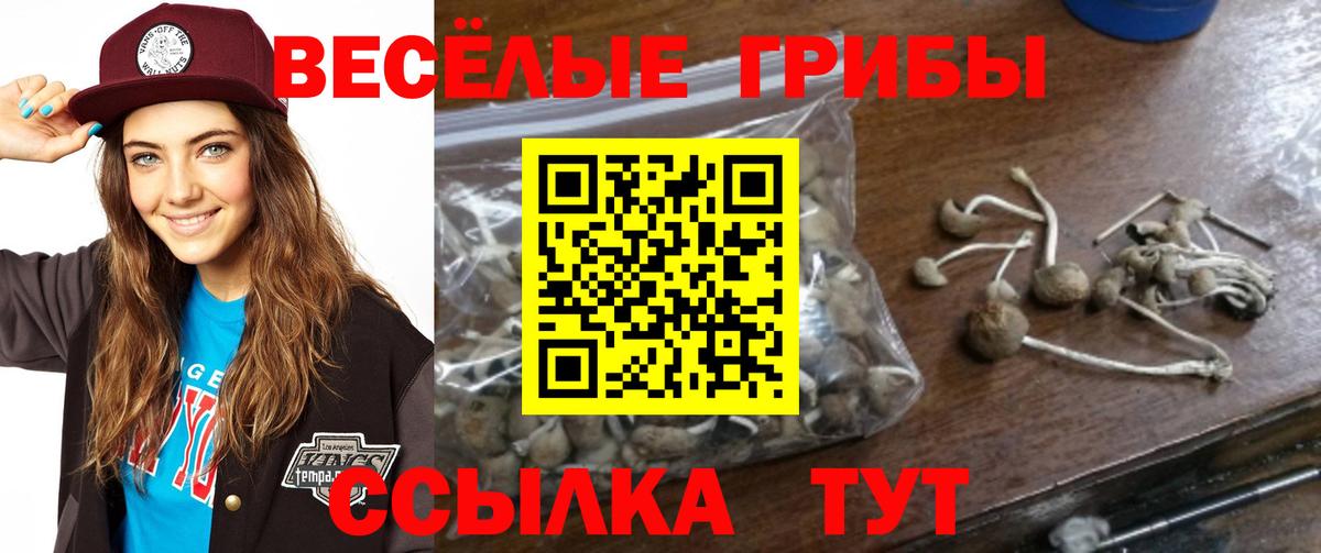 ТГК Мичуринск