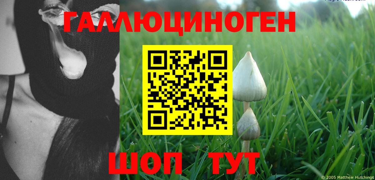 Галлюциногенные грибы прущие грибы  Галлюциногенные грибы Psilocybine cubensis  Вход с VPN  Мичуринск 